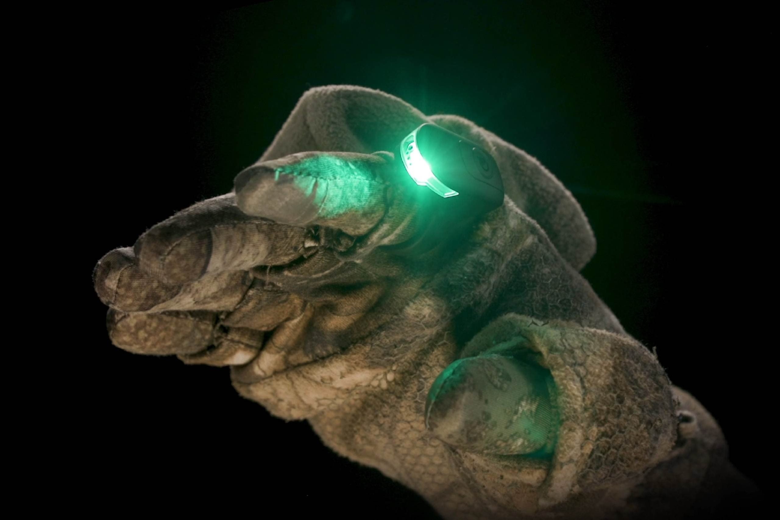 Green Light vs. Red Light for Night Vision and Stealth