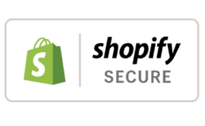Secure checkout