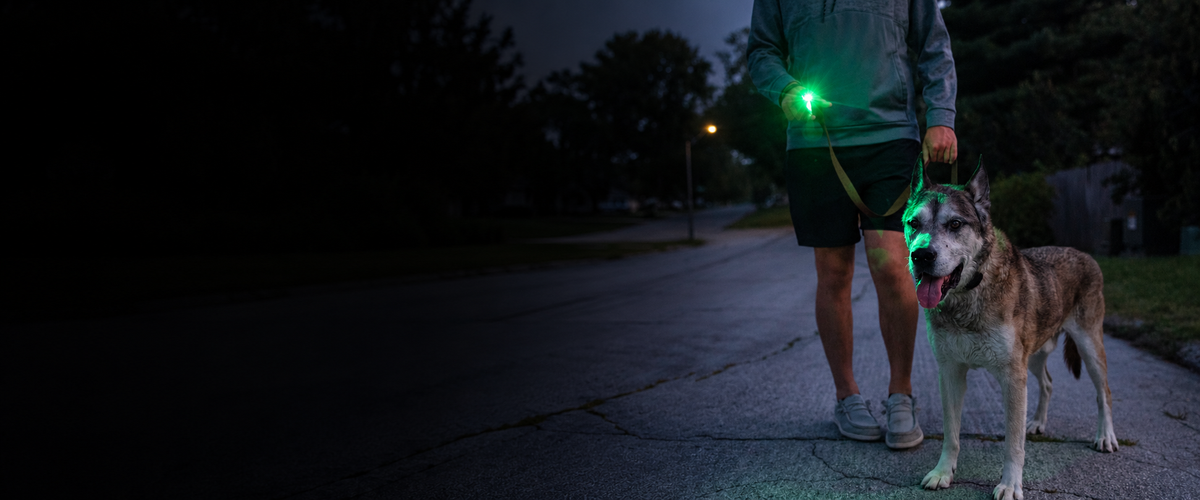 Person walking a dog at dusk with a green DEX FingerLight on their hand